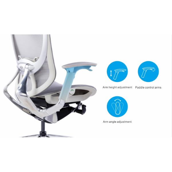 IFIT Black Ergonomic Desk Chair With Lumbar Support Adjustable Tilting Mesh Swivel