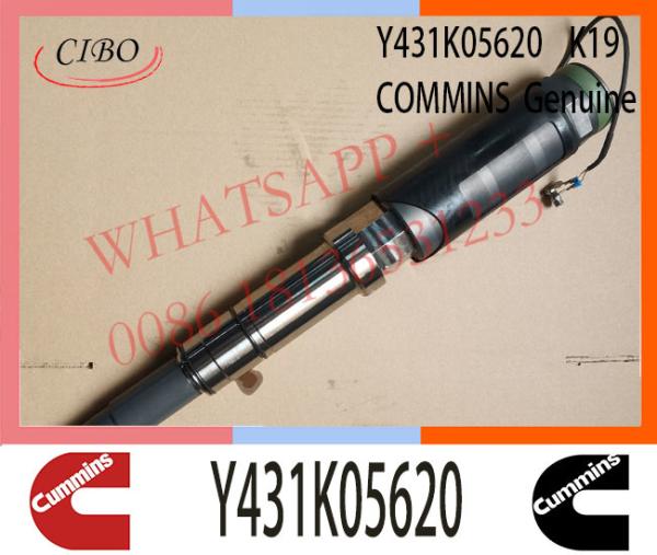 Injetor de combustível de Y431K05620 Cummins para K19 DS-289708 Y 431 K05 620