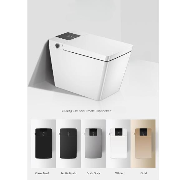 Изделия современного лидирующего автоматического Bathroom санитарные справляются умные умные туалеты