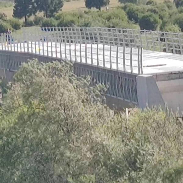 Easily Assembled Bs Standard Steel Structure Bridge Q355B Grade High Durability