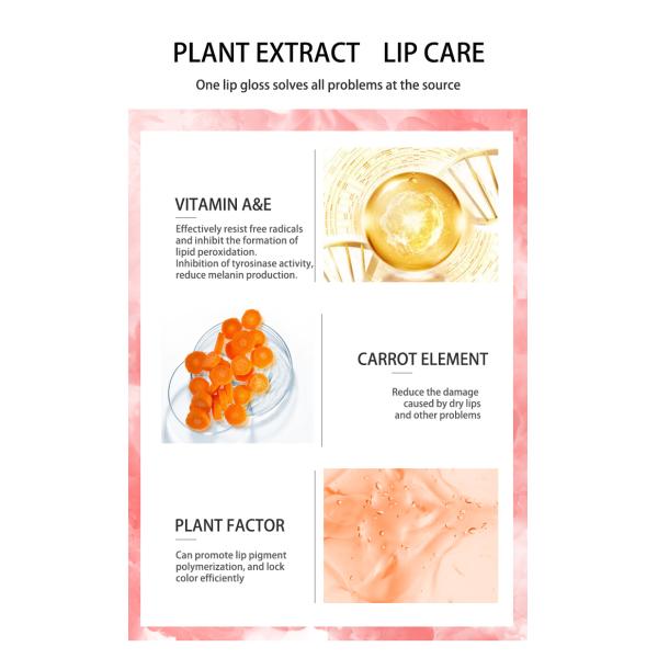 Продолжительная сливк ремонта губы макияжа с Витамином A 10ml/Pcs