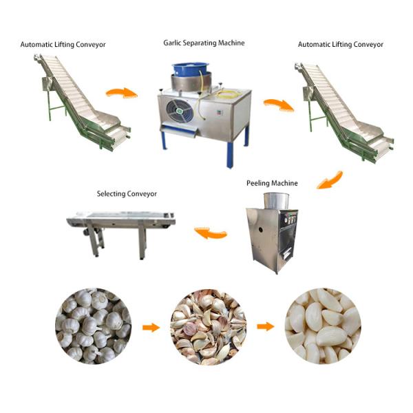 Industrial Automatic garlic peeling machine production line garlic processing machines