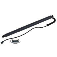 Ressort gauche 51247339431 de porte à rabattement arrière de Gate Shock For BMW X4 F26 de conducteur