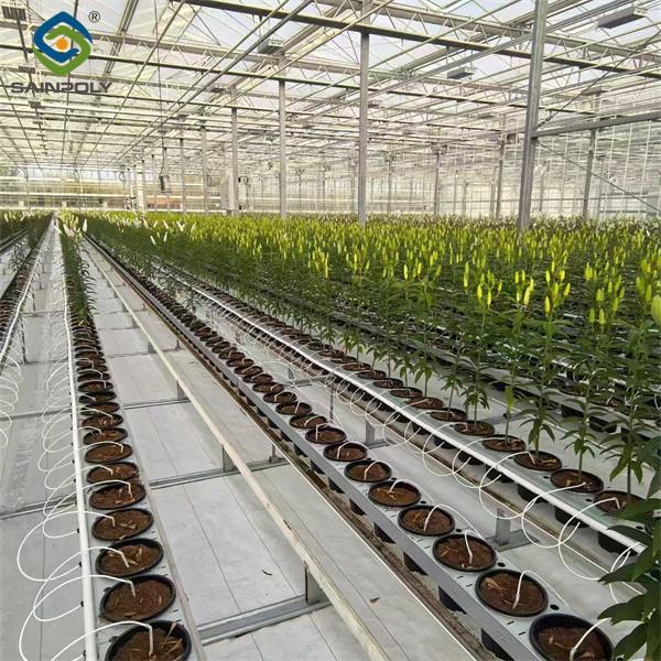 Transparent Large Commercial Greenhouse Agricultural Green House For Flowers