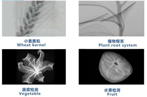 Реальное время встроенных систем контроля без разрушения испытания кс Рэй урожая эффективное для материалов