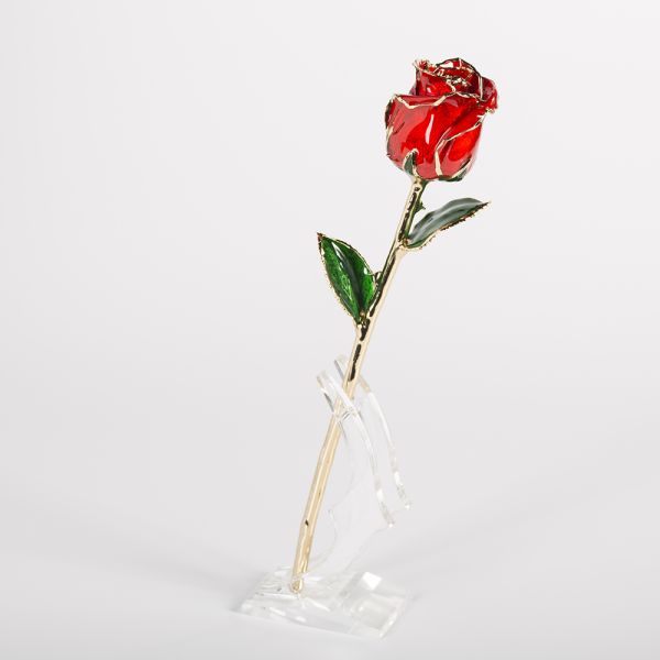 Gold Plated Rose Fresh Preserved Flower Gold Plated Natural Rose Everlasting Rose Flowers Wholesale Valentine Mother Day