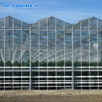 Lados y tipo cubierto de cristal superior invernadero del sistema de ventilación Multispan Venlo
