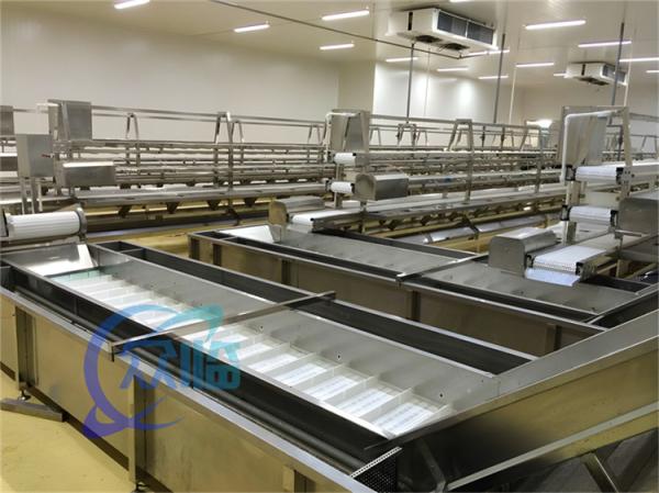 Máquina de processamento de peixe de aço inoxidável Anti-corrosião 380V 50Hz