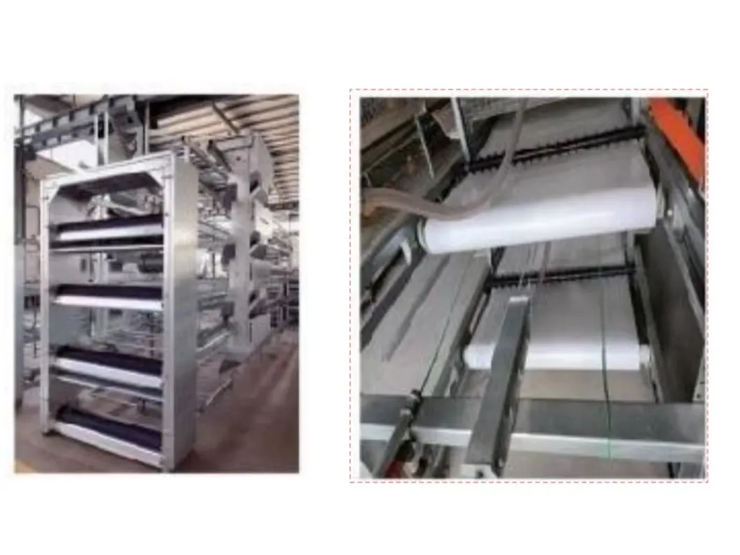 H Type Layer Cage System High Space Utilization Chicken Laying Cage For Farming