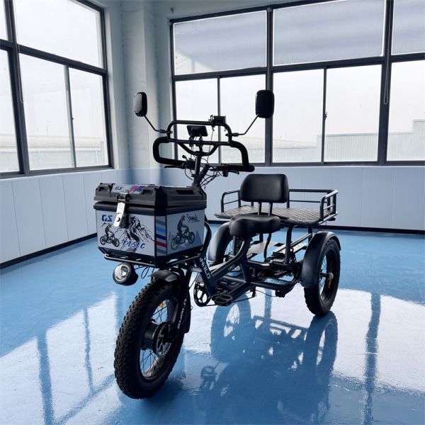 Bicicleta eléctrica de tres ruedas monoplaza con alto rendimiento