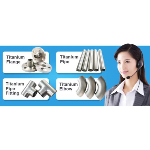 Gr2 Gr7 Gr9 ANSI 150lbs 300 Ibs Class Titanium Blind Flange for pipeline