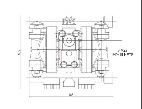 Peso plástico de aire comprimido de la bomba de diafragma de la bomba/del Teflon de diafragma 2.8kg