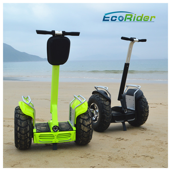Intelligent Two Wheel Stand Up Electric Seg Scooter Vehicle For Men