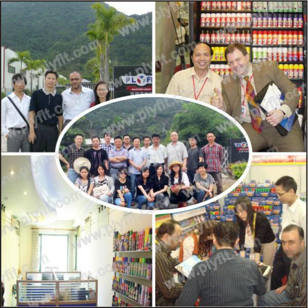 Государство покрытия металлической краски для пульверизатора аэрозоля золота Kроме жидкостное для металла/древесины/стекла