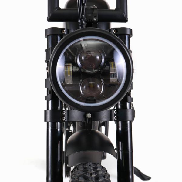 Electric Hybrid Bike Max Speed 30-50Km/h 1000w 20ah Brushless Motor Aluminum Alloy Frame