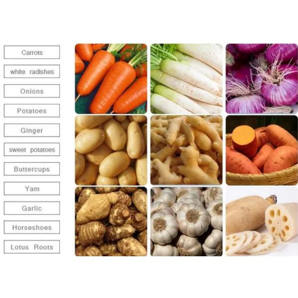 Mustard Shredding Vegetable Processing Machine Kohlrabi Strip Cutting Equipment