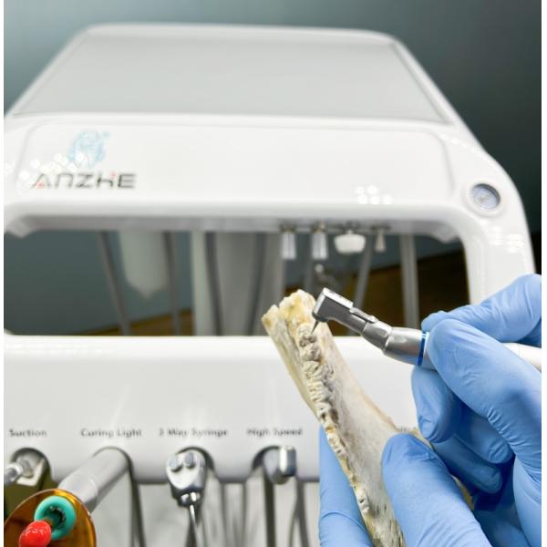 Специализированная приемка Птицы Зубная терапия Мобильная тележка Животная больница Ветеринарная стоматологическая рабочая станция