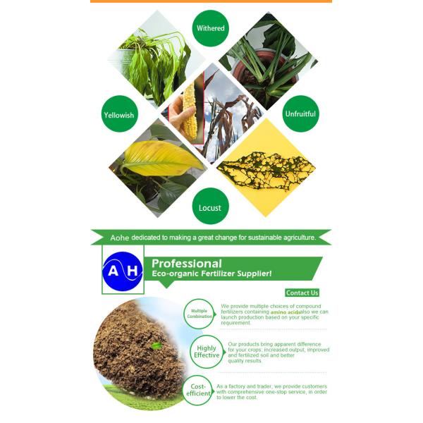 40% amino mais o extrato Foliar da planta do adubo estimulam o crescimento da raiz