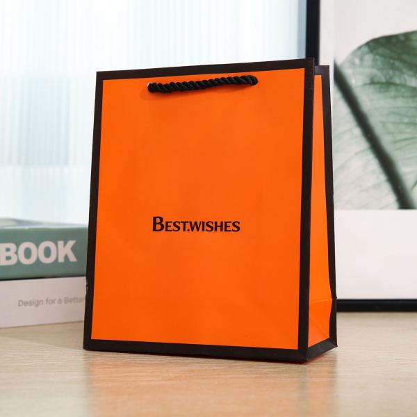 Sacs-cadeaux en papier écologiques avec poignées de corde pour vêtements