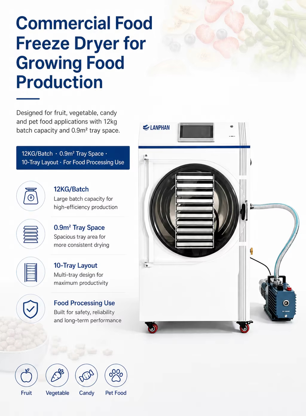 -60°C Cold Trap Vacuum Freeze Dryer 12–14kg/batch Freeze Drying Machine for Food Preservation