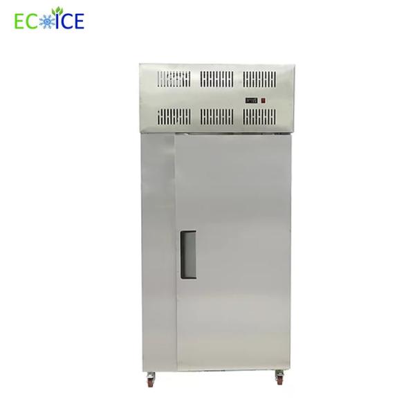 Hot Sale Commercial Fast Cooling Automatic Blast Freezer Cabinet with good quality for fish