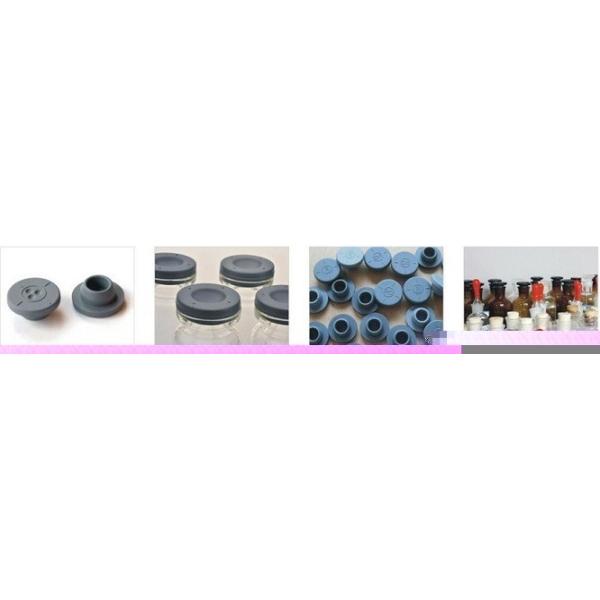 250T Hydraulic Rubber Bottle Cover Compression Molding Press with Advanced Technology
