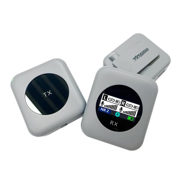 Wireless Microphone 2.4G Dual Channel USB Digital Output for Stage Ktv 20 Hz 20khz