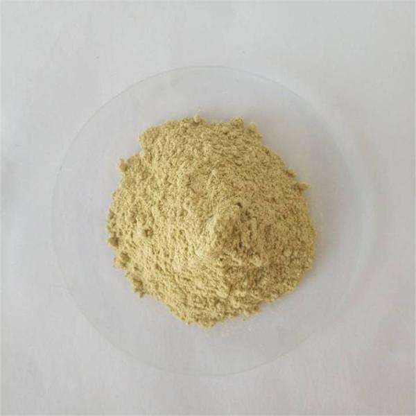 Pharmaceutical Grade Dried Ginger Powder Price