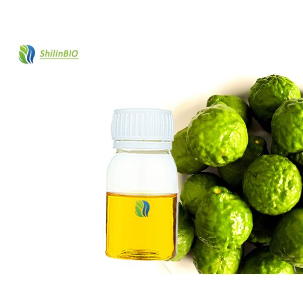 100% Natural Pure Essential Oil Bergamot Oil Cold Pressed 