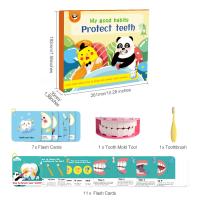 Aide à la formation éducative tôt de jouets d'enfants pour les dents protectrices