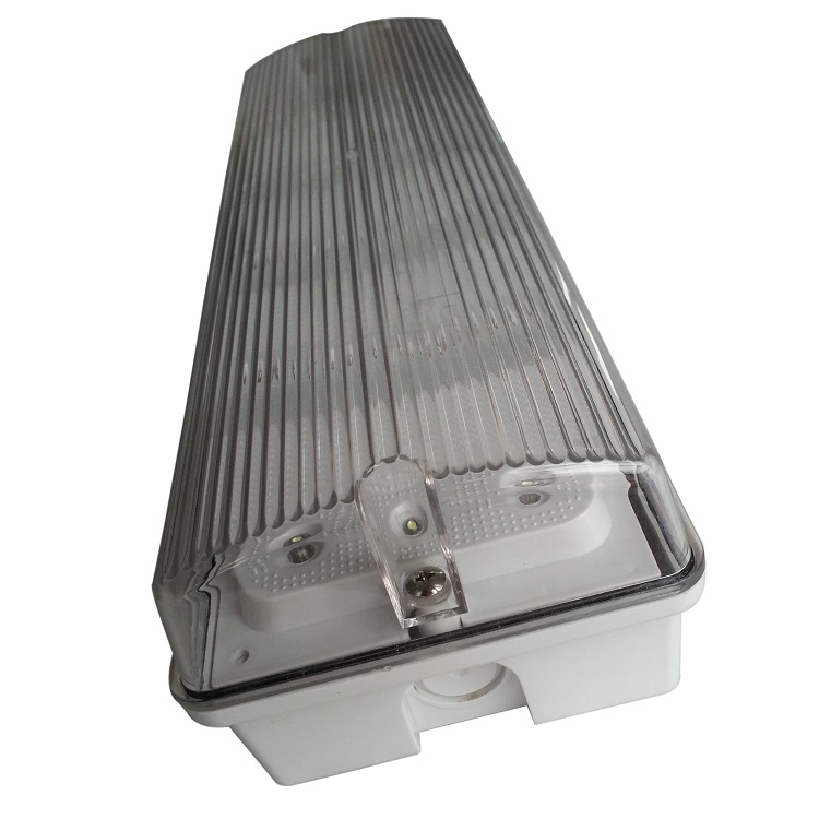 Non Maintained LED Emergency Light with Fire Retardant ABS Casing, IP65 Waterproof, and 3 Hours Duration