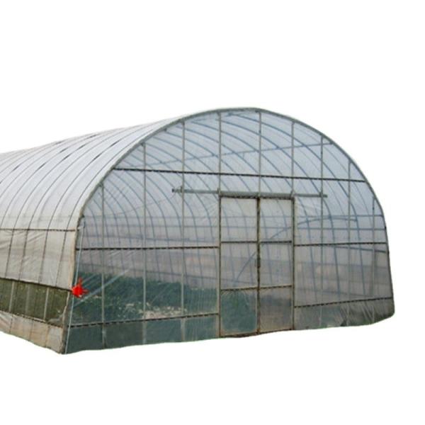 Vegetable Fruits Flowers Mushroom House for Eco-friendly Growing