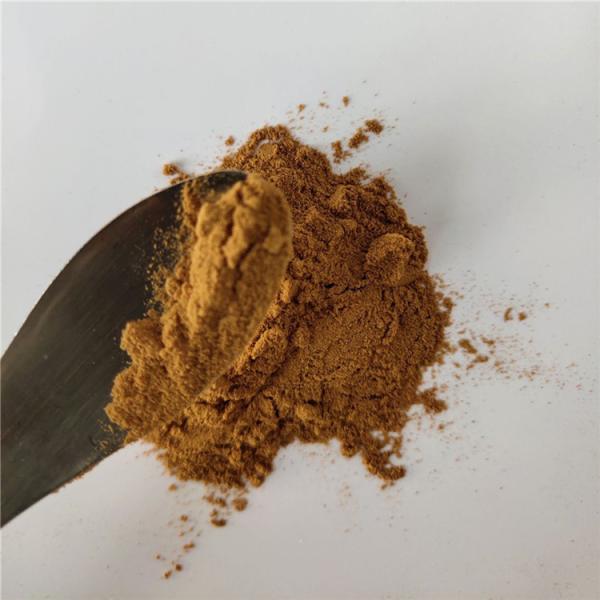 China Herbal Dipsacus Extract For Rheumatism Capsule