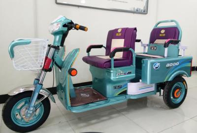 Chinese 3 Wheeler with Two Seat , Three Wheel Electric Cargo Bike 800W