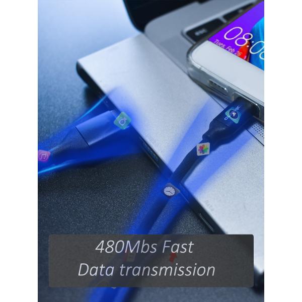 Reinforcement Connerctor 10000 Times USB 2.0 Type C Cable Sync Data