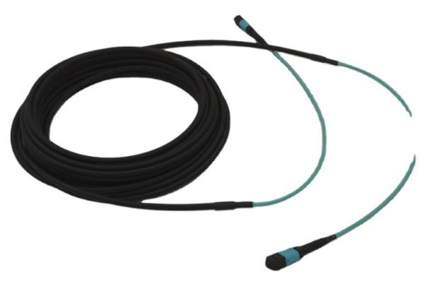 24 cabos dobro do tronco da bainha do núcleo MPO MTP OM4 5.5MM com cauda de 30cm
