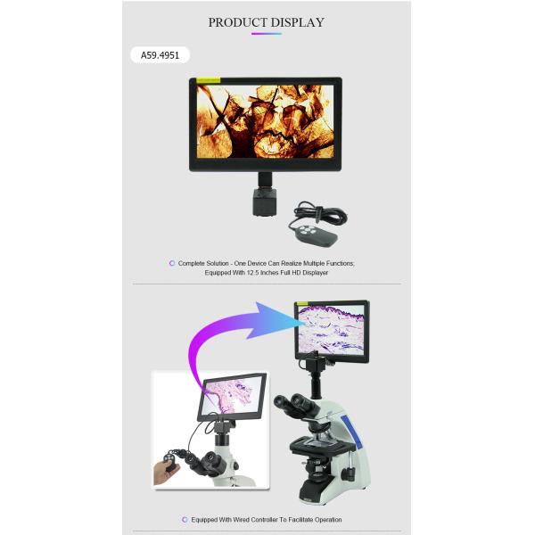 Los accesorios 12,5 del microscopio A59.4951 avanzan lentamente la cámara 1080p del microscopio del Lcd Digital