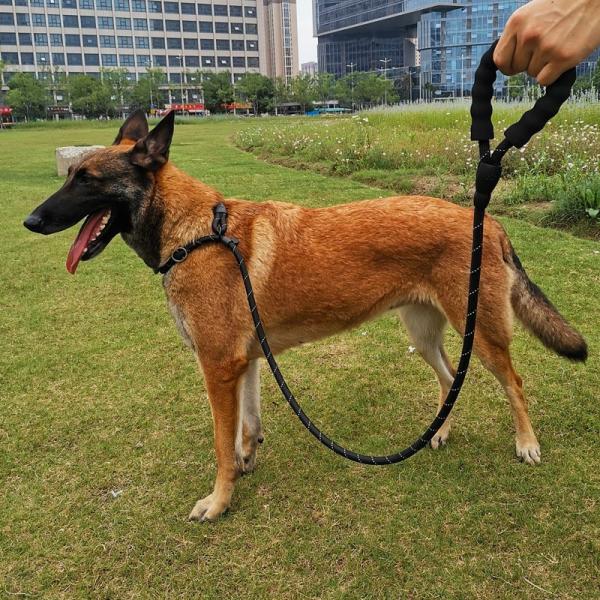Explosion Proof Thickened Extended Telescopic P-Rope For Golden Retriever Dog Traction