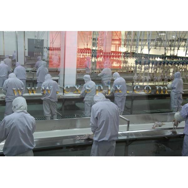 Специализированная машина для убоя цыплят, уток, индейки, гусей 2000BPH для птицы