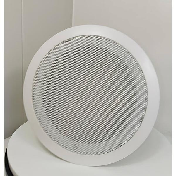 Hotel Schools 100/70V Ceiling Speakers 8 Inch 40/20/10/5w/8ohm Coaxial Loudspeaker