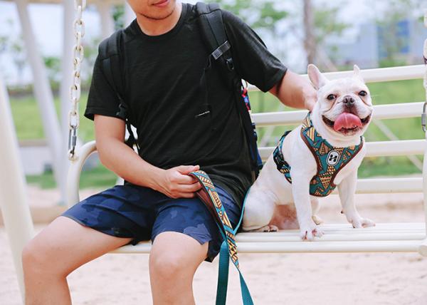 Large Dog Walking Harness Vest For Car And Walking 32cm To 40cm Neck