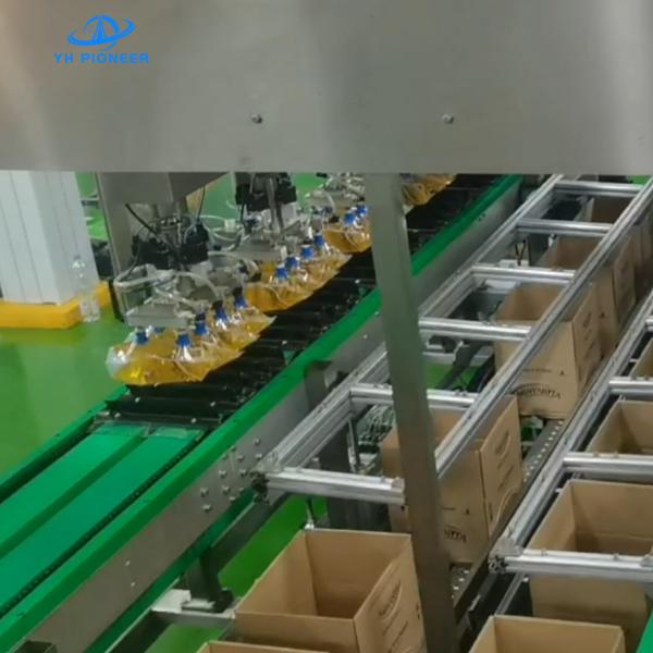 Soft Bags Pouches Carton Packer Machine with Customizable Carton Size