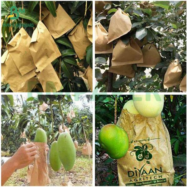 Биоразлагаемая дождезащитная покрытая воском черная мангоя плодозащитная выращивающая бумага