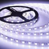 Lâmpada LED à baixa tensão à prova d'água 12V SMD5630 para caixa de luz publicitária