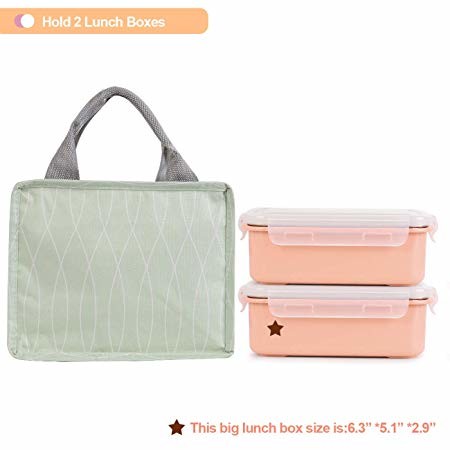 Cute Insulated Cooler Tote Bags For Men Or Woman 9 Lx 4.5Wx 7.5H Inch