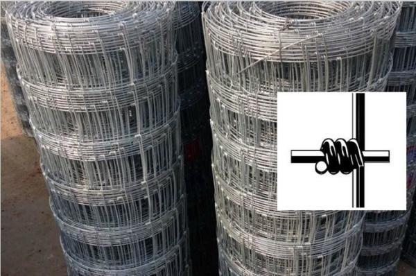 Hot Dipped Galvanized Field Fence , Hinge Joint Wire Fencing Bright Color