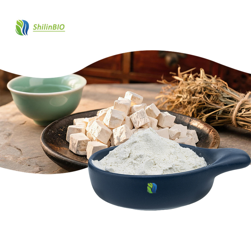 High Quality 10:1 20:1 Poria Cocos Extract Powder Food Grade Mushroom Extract