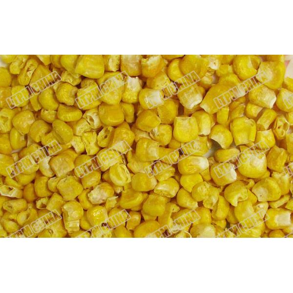 SUS304 Material Industrial Freeze Drying Machine For Chemical Products