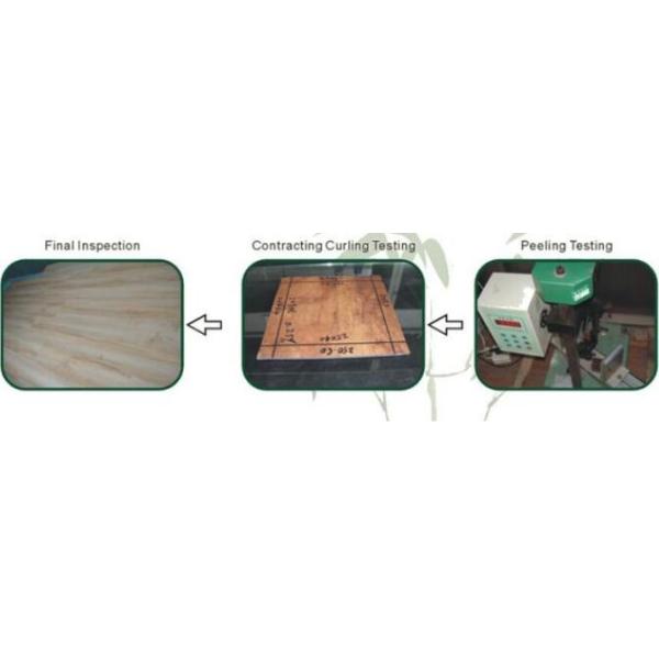 Comemrcial Water Proofed LVT Vinyl Floor With Wear Layer Protection