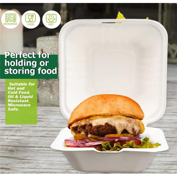 Hamburguesa del bagazo envases para llevar biodegradables de 6 pulgadas 20g